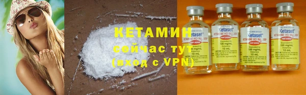 крисы Алексин