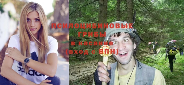 шишки Алзамай