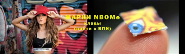 крисы Алексин