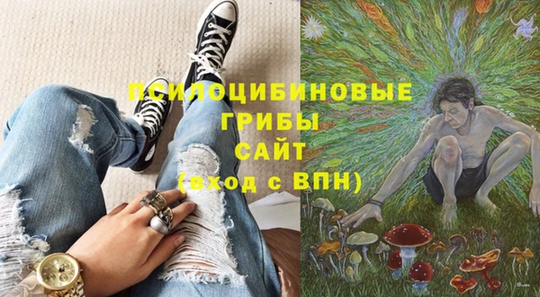 шишки Алзамай