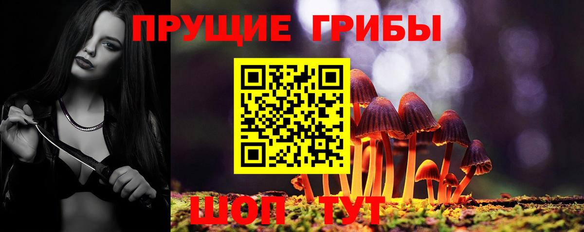 Канаш  Галлюциногенные грибы MAGIC MUSHROOMS  Вход с VPN  Галлюциногенные грибы MAGIC MUSHROOMS 